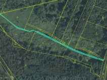 Prodej louky, Petříkov - Těšínov, 1557 m2