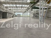 Prodej výrobních prostor, Veselí nad Moravou, 5700 m2