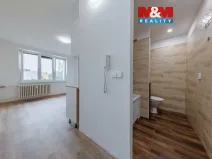 Prodej bytu 1+kk, Horní Slavkov, U Lesoparku, 19 m2
