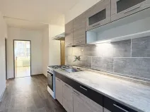Pronájem bytu 2+1, Chomutov, Březenecká, 58 m2