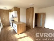 Pronájem bytu 1+kk, Dolní Branná, 44 m2