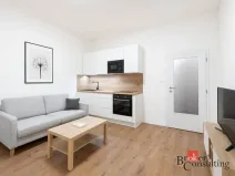 Pronájem bytu 1+kk, Ostrava - Přívoz, Palackého, 22 m2
