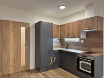 Pronájem bytu 1+kk, Olomouc, Janského, 52 m2