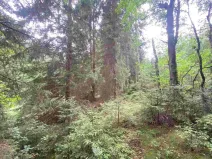 Prodej pole, Krásná, 1440 m2