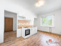 Prodej bytu 1+1, Ostrava - Přívoz, Palackého, 45 m2