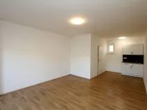 Pronájem bytu 1+kk, Pardubice - Rosice, generála Svobody, 29 m2