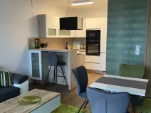Pronájem bytu 2+kk, Plzeň - Východní Předměstí, Pallova, 46 m2