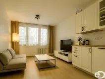 Pronájem bytu 1+kk, Praha, Vavřenova, 24 m2