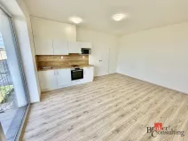 Pronájem bytu 1+kk, Brno - Trnitá, Křenová, 32 m2
