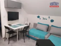 Pronájem bytu 2+kk, Hluboká nad Vltavou, 40 m2