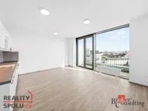 Pronájem bytu 1+kk, Plzeň - Jižní Předměstí, Železná, 42 m2
