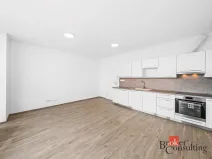 Pronájem bytu 1+kk, Plzeň - Jižní Předměstí, Železná, 42 m2