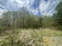 Prodej pozemku pro bydlení, Soběslav - Soběslav III, Wilsonova, 1132 m2