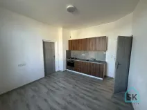 Prodej bytu 1+1, Krnov - Pod Bezručovým vrchem, K Můstku, 52 m2
