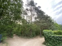 Prodej lesa, Vráž, 3233 m2