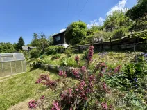 Prodej zahrady, Těšovice, 501 m2