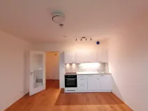 Pronájem bytu 1+kk, Praha - Vinohrady, Perucká, 27 m2