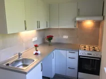 Pronájem bytu 1+1, Ostrava - Hrabůvka, U Haldy, 38 m2
