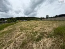 Prodej pozemku pro bydlení, Málkov - Zelená, 1009 m2