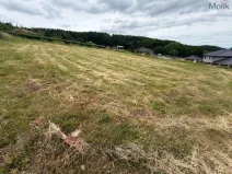 Prodej pozemku pro bydlení, Málkov - Zelená, 1024 m2