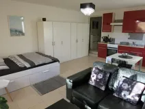 Pronájem bytu 1+kk, Samotišky, 40 m2