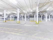 Pronájem výrobních prostor, Písek - Budějovické Předměstí, U Vodárny, 6421 m2