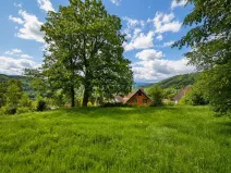 Prodej louky, Oloví, Horní, 420 m2