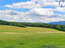 Prodej lesa, Chlumany, 17989 m2