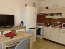 Prodej bytu 1+1, Plzeň - Severní Předměstí, Sokolovská, 40 m2