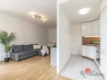 Prodej bytu 1+kk, Brno - Starý Lískovec, U Leskavy, 48 m2