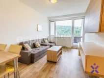 Prodej bytu 2+kk, Všemina, 45 m2