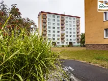 Prodej bytu 1+1, Cheb, Lomená, 35 m2