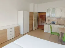 Pronájem bytu 1+kk, Praha - Vinohrady, Ondříčkova, 31 m2