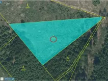 Prodej lesa, Tehov - Nemíž, 3892 m2