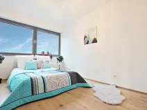 Pronájem bytu 3+kk, Brno - Staré Brno, Anenská, 105 m2