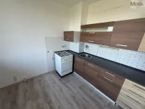 Prodej bytu 2+1, Bílina - Pražské Předměstí, Aléská, 48 m2