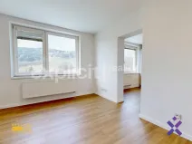 Pronájem bytu 1+1, Starý Hrozenkov, 38 m2