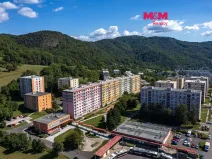 Prodej bytu 1+1, Ústí nad Labem - Mojžíř, Peškova, 35 m2