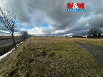 Prodej pozemku pro bydlení, Větřkovice, 4806 m2