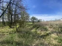 Dražba louky, Hranice, 2086 m2