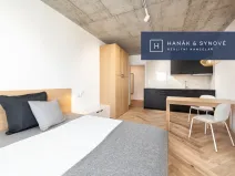 Pronájem bytu 1+kk, Brno, Chaloupkova, 29 m2