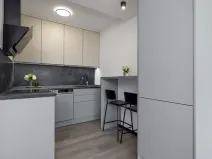 Prodej bytu 2+kk, Havířov - Podlesí, Okrajová, 39 m2