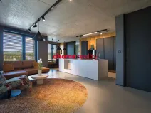 Prodej bytu 3+kk, Ostrava, F. X. Riepla, 137 m2