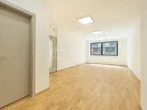 Prodej bytu 3+kk, Praha - Žižkov, Budovcova, 96 m2