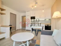 Pronájem bytu 2+kk, Praha - Vysočany, Strnadových, 63 m2