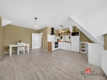 Prodej bytu 3+kk, Opava - Předměstí, Olomoucká, 55 m2