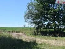Prodej pozemku pro bydlení, Loukovec, 909 m2