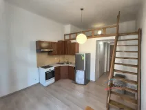 Pronájem bytu 1+kk, Praha - Žižkov, Seifertova, 25 m2