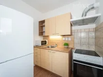 Pronájem bytu 1+kk, Syrovice, 33 m2