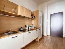 Pronájem bytu 1+1, Praha - Dejvice, Pod kaštany, 37 m2